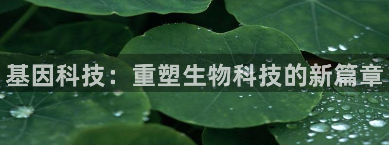 天宏娱乐河源店招聘