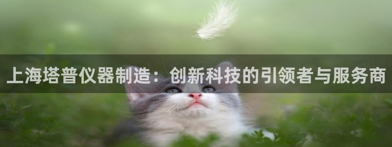 天宏娱乐男孩团