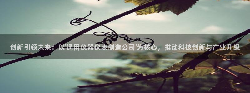 天宏娱乐直播间怎么进入：创新引领未来：以\'通用仪器仪表制造
