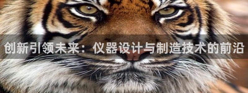天宏娱乐王叔：创新引领未来：仪器设计与制造技术的前沿