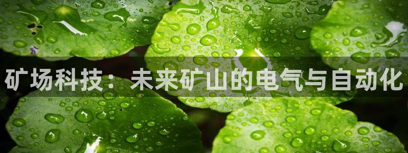 天宏2娱乐：矿场科技：未来矿山的电气与自动化