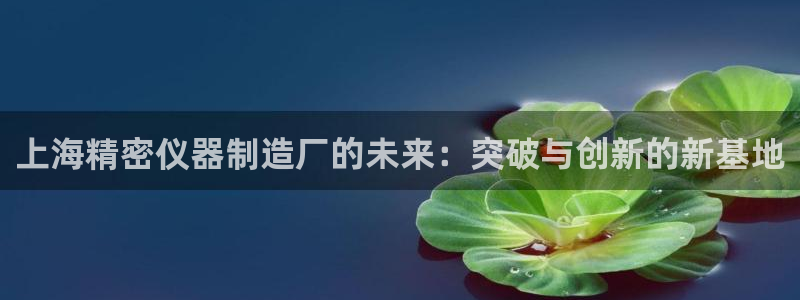 金叔直播天宏娱乐直播：上海精密仪器制造厂的未来：突破与创新的