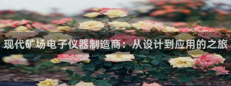 天宏娱乐集团代理：现代矿场电子仪器制造商：从设计到应用的之旅