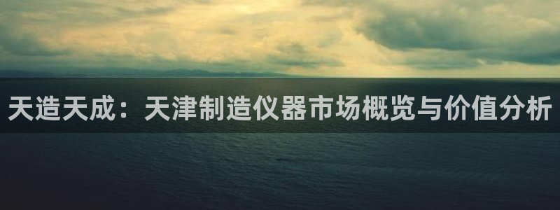 天宏娱乐会所地址：天造天成：天津制造仪器市场概览与价值分析