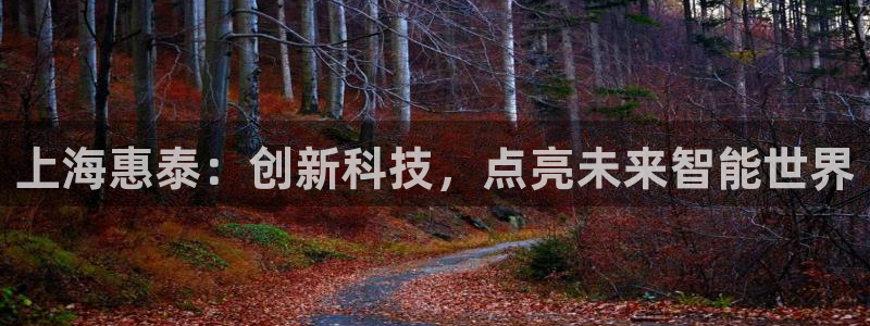 天宏娱乐app下载：上海惠泰：创新科技，点亮未来智能世界
