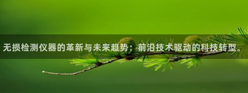 天宏娱乐湖北：无损检测仪器的革新与未来趋势：前沿技术驱动的科