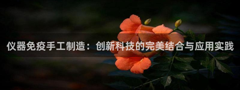 天宏娱乐宝叔是谁：仪器免疫手工制造：创新科技的完美结合与应用