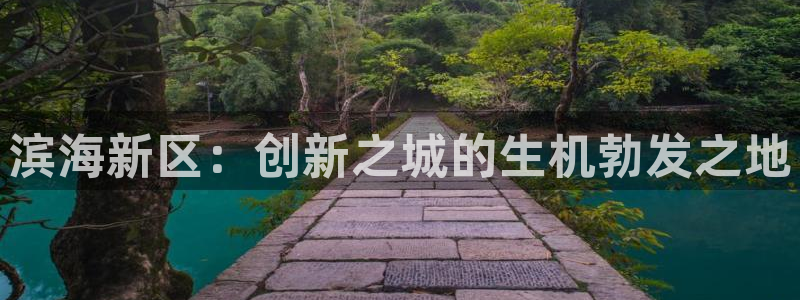 天宏娱乐2：滨海新区：创新之城的生机勃发之地