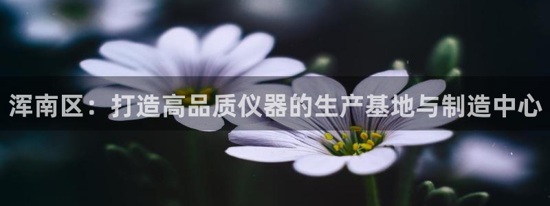 天宏娱乐是正规的吗：浑南区：打造高品质仪器的生产基地与制造中