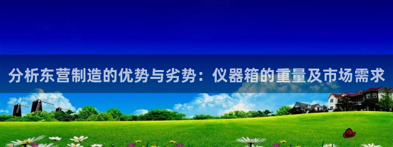 天宏娱乐有明星么：分析东营制造的优势与劣势：仪器箱的重量及市