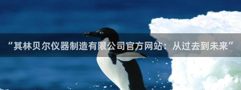 天宏娱乐是骗局吗：“其林贝尔仪器制造有限公司官方网站：从过去