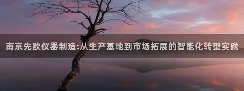 天宏娱乐b 判官：南京先欧仪器制造:从生产基地到市场拓展的智