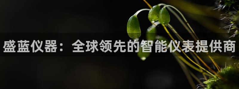 天宏娱乐军叔：盛蓝仪器：全球领先的智能仪表提供商
