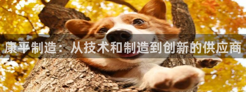 天宏娱乐818：康平制造：从技术和制造到创新的供应商