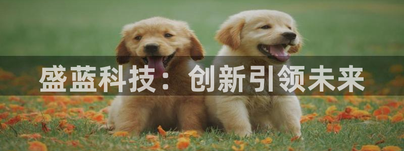 天宏娱乐app