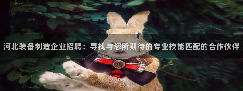 天宏娱乐钟叔：河北装备制造企业招聘：寻找与您所期待的专业技能