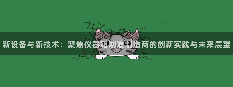 天宏娱乐j 判官：新设备与新技术：聚焦仪器箱制造制造商的创新