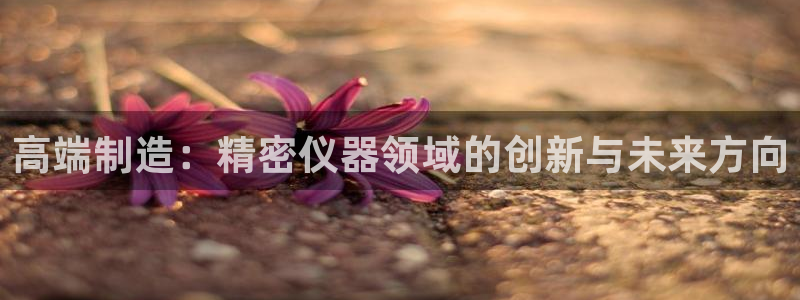 西安天宏娱乐老男孩事件：高端制造：精密仪器领域的创新与未来方