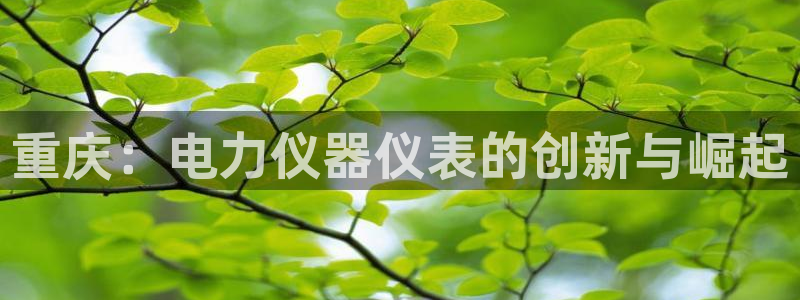 天宏娱乐登录网址：重庆：电力仪器仪表的创新与崛起