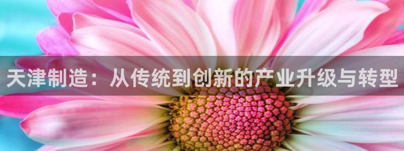 天宏娱乐指挥官：天津制造：从传统到创新的产业升级与转型