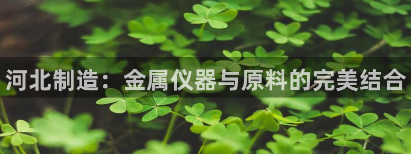 天宏娱乐老男孩成员：河北制造：金属仪器与原料的完美结合