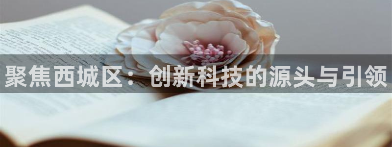 天宏娱乐韩叔抖音：聚焦西城区：创新科技的源头与引领