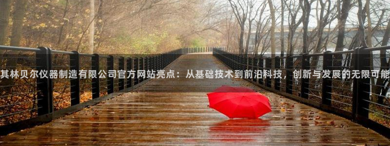 东莞天宏娱乐：其林贝尔仪器制造有限公司官方网站亮点：从基础技