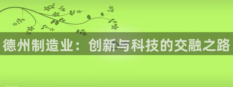 天宏娱乐丁叔：德州制造业：创新与科技的交融之路