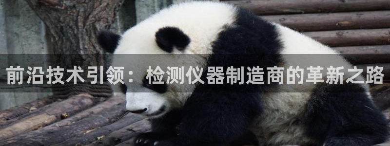 天宏娱乐集团创始人：前沿技术引领：检测仪器制造商的革新之路