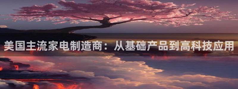 天宏娱乐是干嘛的公司：美国主流家电制造商：从基础产品到高科技