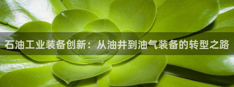 天宏娱乐韩叔：石油工业装备创新：从油井到油气装备的转型之路