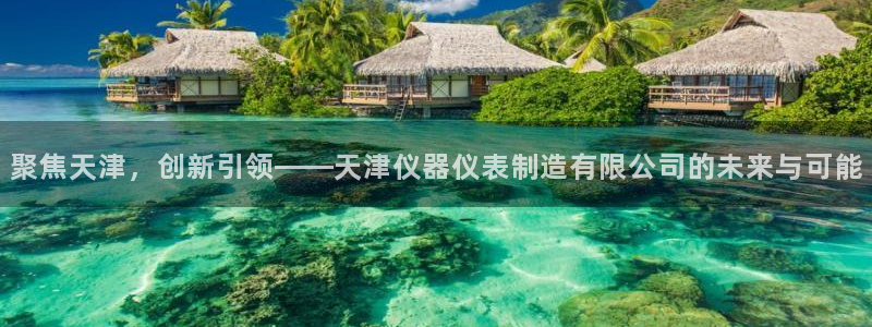 天跃娱乐天宏娱乐：聚焦天津，创新引领——天津仪器仪表制造有限