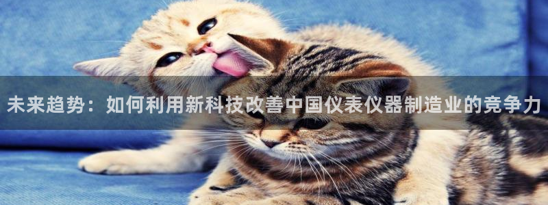 河源天宏娱乐店：未来趋势：如何利用新科技改善中国仪表仪器制造
