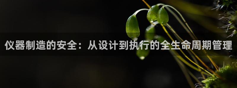 天宏娱乐梁善良：仪器制造的安全：从设计到执行的全生命周期管理
