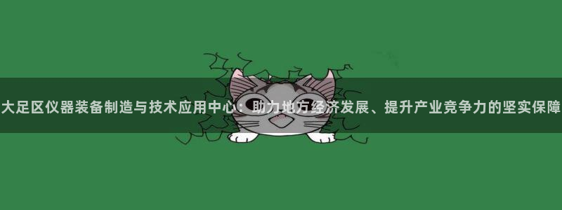 天宏娱乐言叔：大足区仪器装备制造与技术应用中心：助力地方经济
