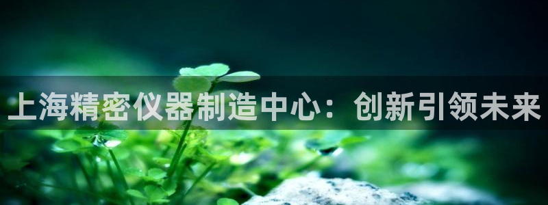天宏娱乐宝叔是谁：上海精密仪器制造中心：创新引领未来