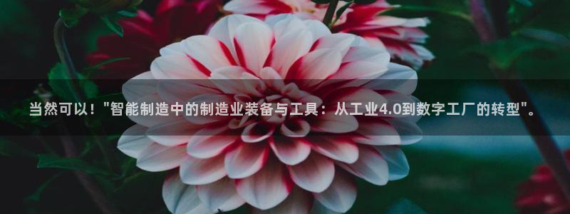 天宏娱乐32937股东：当然可以！\