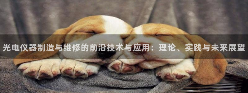 河源天宏娱乐店：光电仪器制造与维修的前沿技术与应用：理论、实