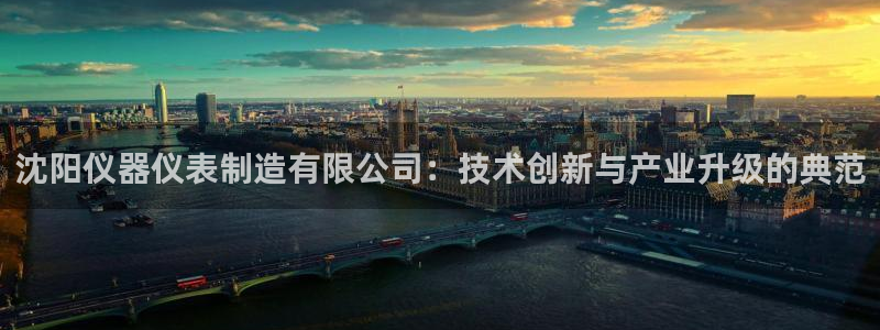 天宏娱乐魂师对决：沈阳仪器仪表制造有限公司：技术创新与产业升
