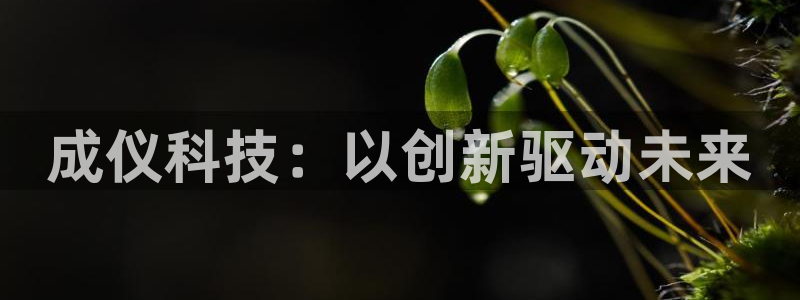 宏天娱乐会所怎么样：成仪科技：以创新驱动未来