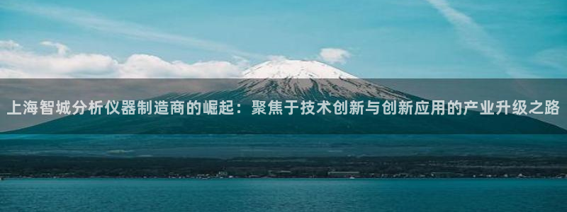 天宏娱乐管a事443593：上海智城分析仪器制造商的崛起：聚