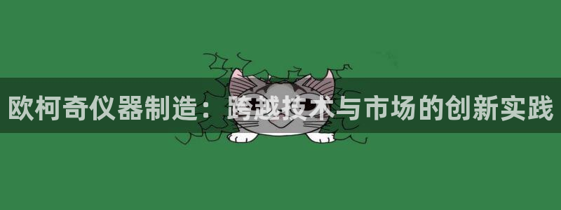 天宏娱乐招商主管：欧柯奇仪器制造：跨越技术与市场的创新实践