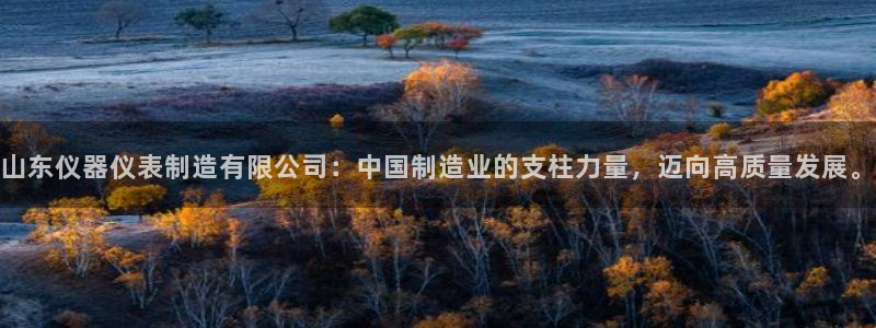 天宏娱乐会所：山东仪器仪表制造有限公司：中国制造业的支柱力量