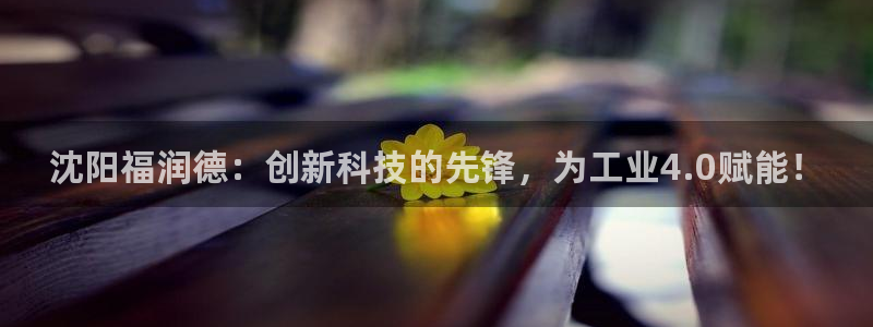 西安天宏娱乐团在哪：沈阳福润德：创新科技的先锋，为工业4.0