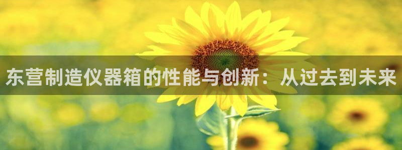 天宏娱乐吴叔抖音：东营制造仪器箱的性能与创新：从过去到未来
