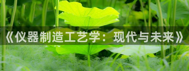 天宏娱乐总店电话多少：《仪器制造工艺学：现代与未来》