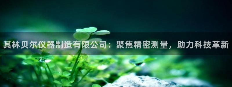 天宏娱乐平台登陆：其林贝尔仪器制造有限公司：聚焦精密测量，助
