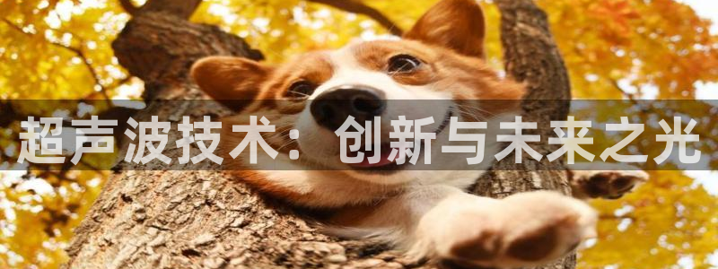 宏天娱乐俱乐部：超声波技术：创新与未来之光