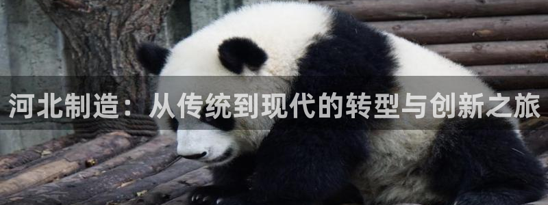 天宏娱乐团购：河北制造：从传统到现代的转型与创新之旅