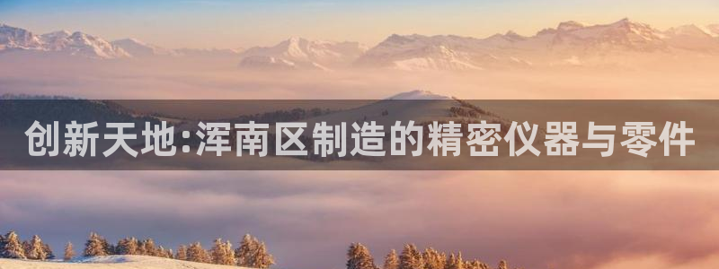 天宏娱乐河源店在哪里：创新天地:浑南区制造的精密仪器与零件